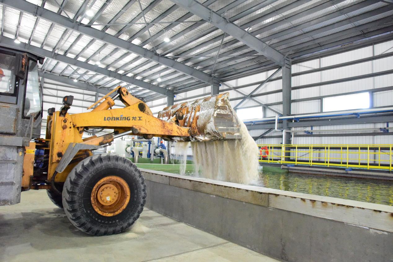 图片24.jpg 图片24.jpg